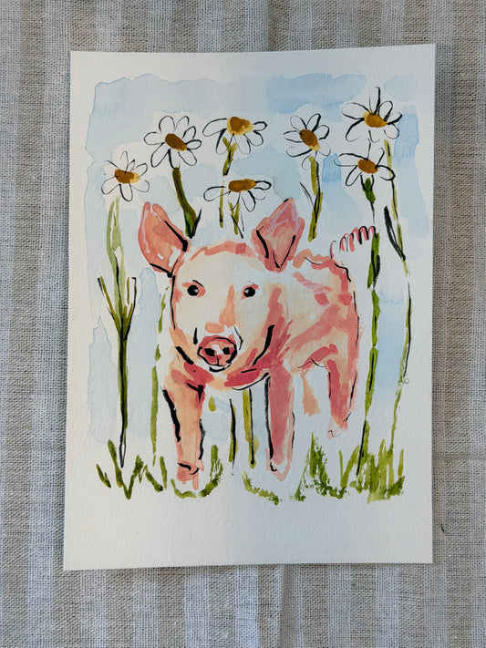 Piglet in the Daisies